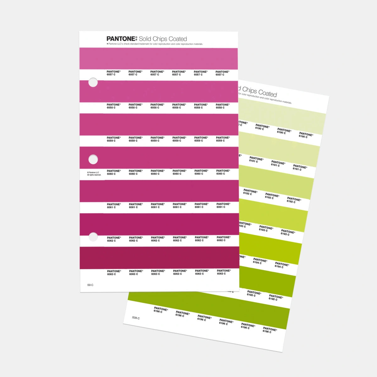 PANTONE® Solid Chips Coated Ersatzseite – Muster-Schmidt Webshop PANTONE® Solid Chips Coated Ersatzseite – Muster-Schmidt Webshop