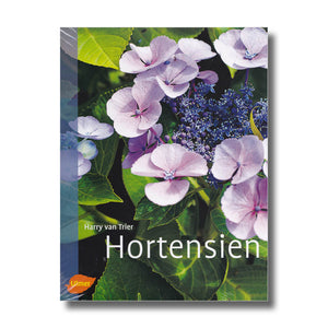 Hortensien